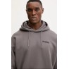 GUESS EMIS HOODIE SWEATSHIRT SEAGULL GREY Z4YQ00K9V31-G1CE